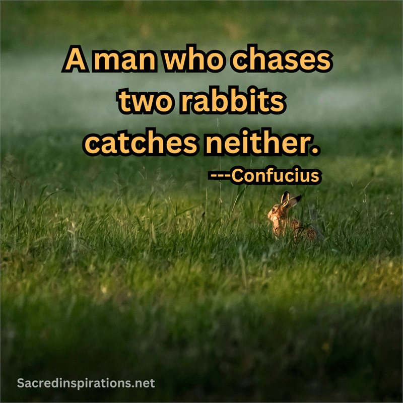 A man who chases two rabbits catches neither — Confucius