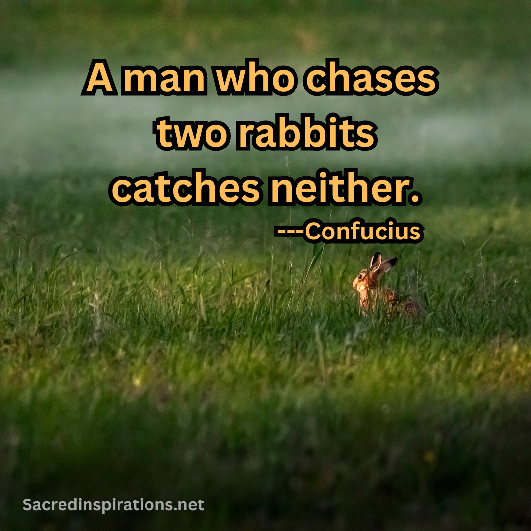 A man who chases two rabbits catches neither — Confucius