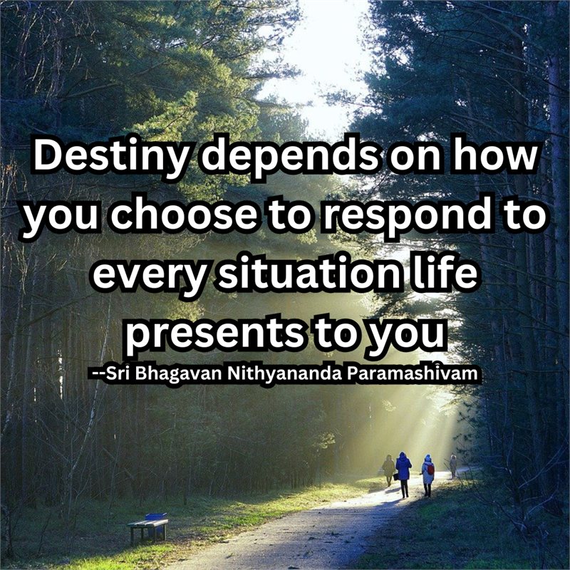 Destiny depends on how you choose to respond to every situation life presents to you