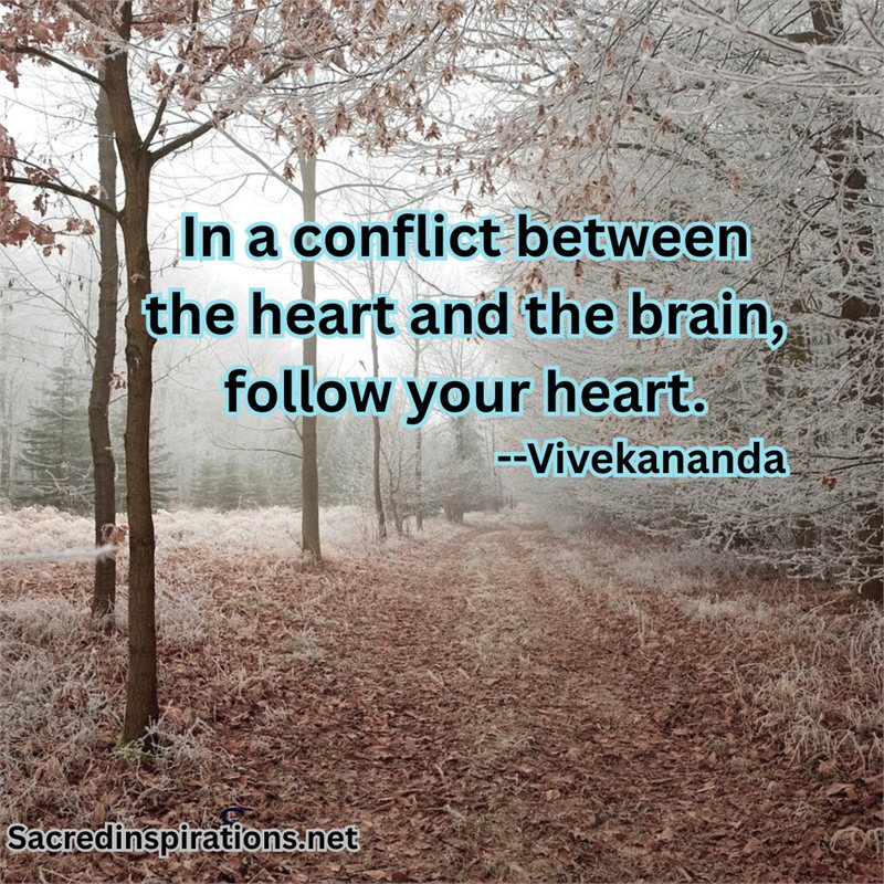 In a conflict between the heart and the brain, follow your heart
