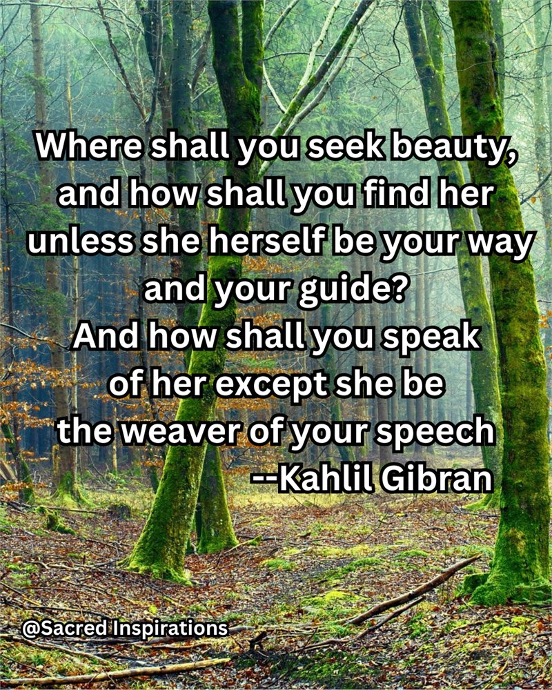 Where shall you seek beauty, and how shall you find her, unless she herself be your way and your guide — Kahlil Gibran