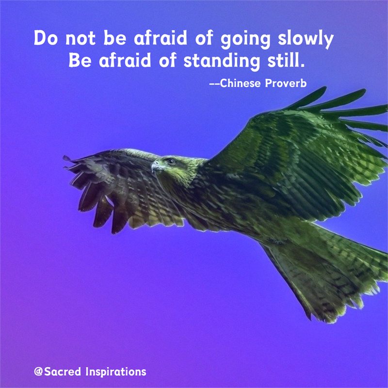 Do not be afraid of going slowly