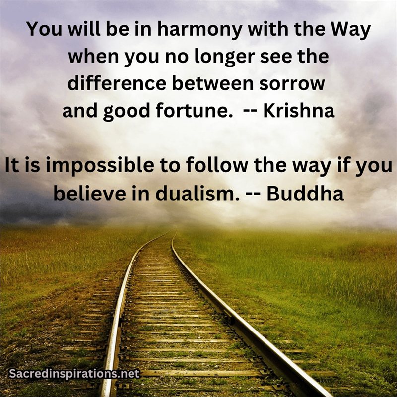 You will be in harmony with the Way — Krishna and Buddha