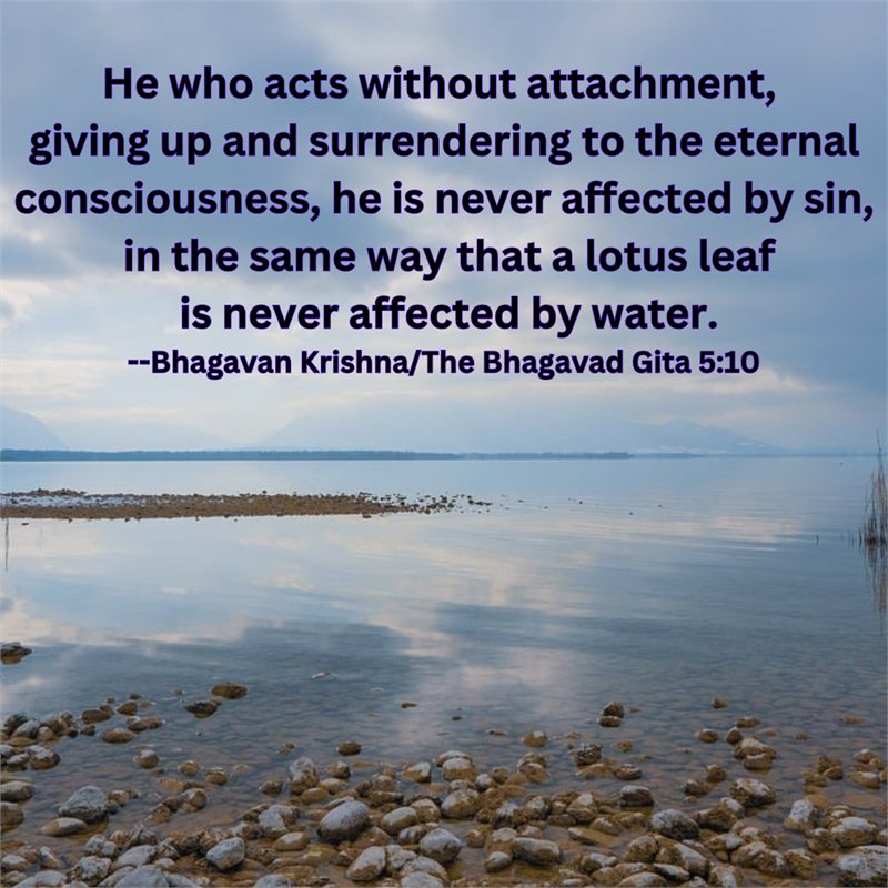He who acts without attachment, surrendering to the eternal consciousness, is never affected by sin, as a lotus leaf is never affected by water — Krishna, Bhagavad Gita 5:10
