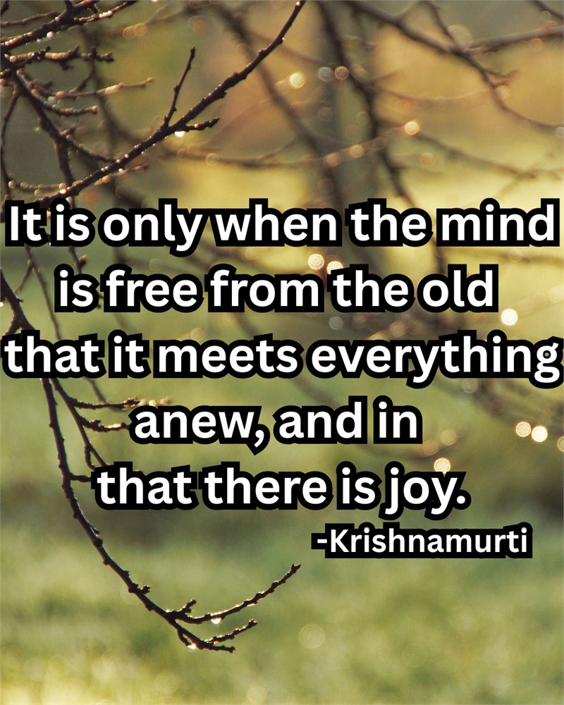 The ability to observe without evaluating — Krishnamurti