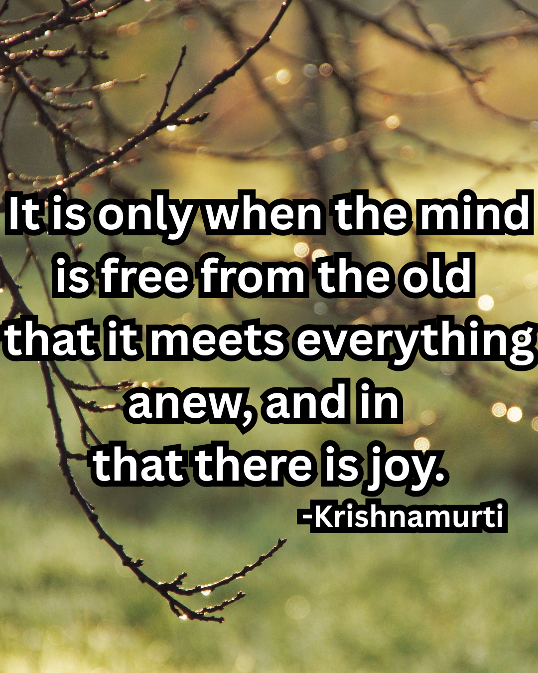 The ability to observe without evaluating — Krishnamurti