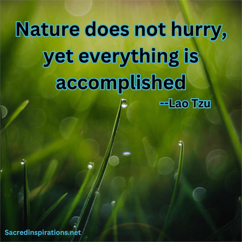 Nature does not hurry — Lao Tzu