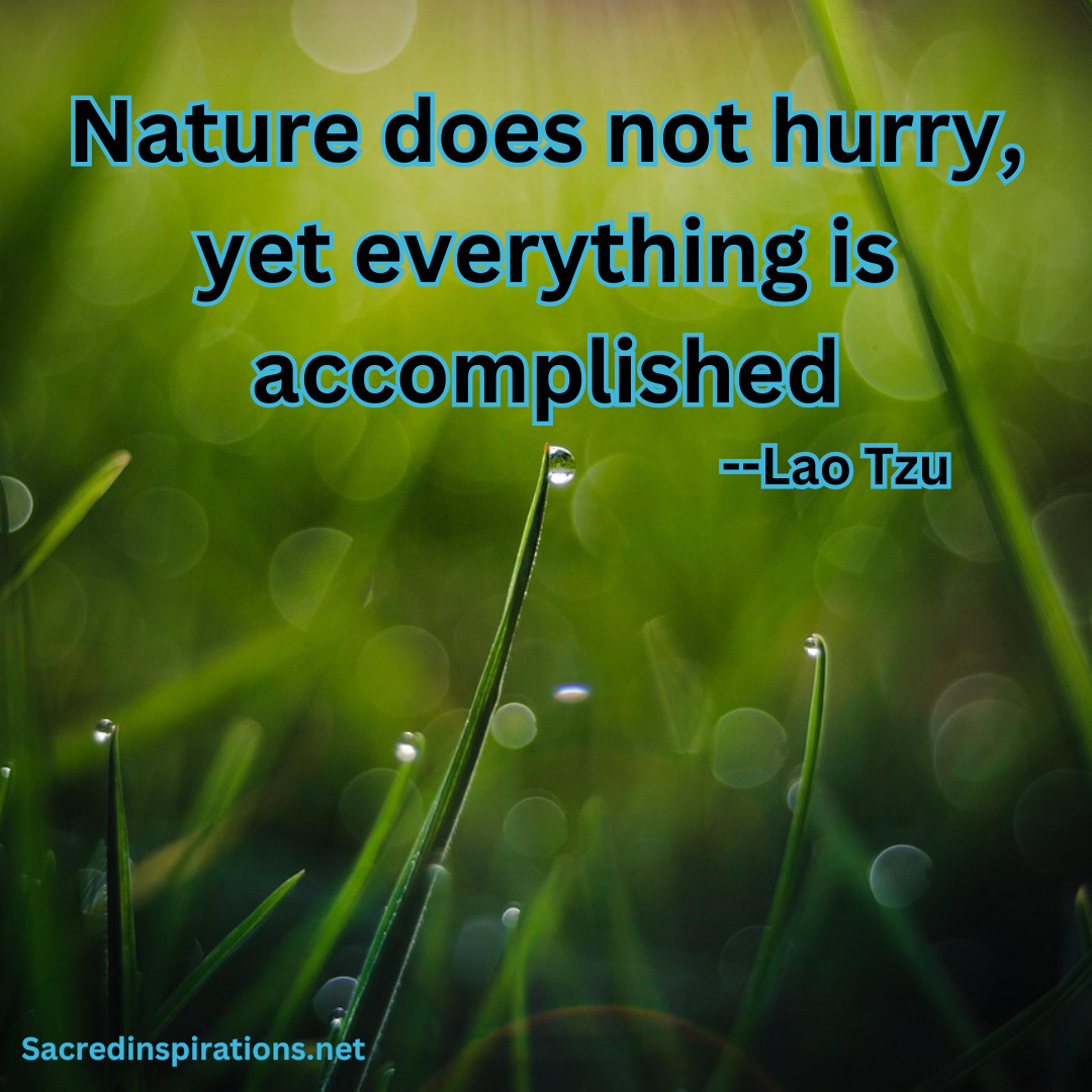 Nature does not hurry — Lao Tzu