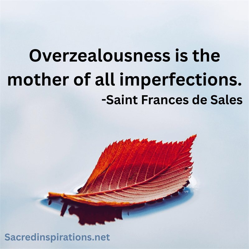 Quote about being overzealous