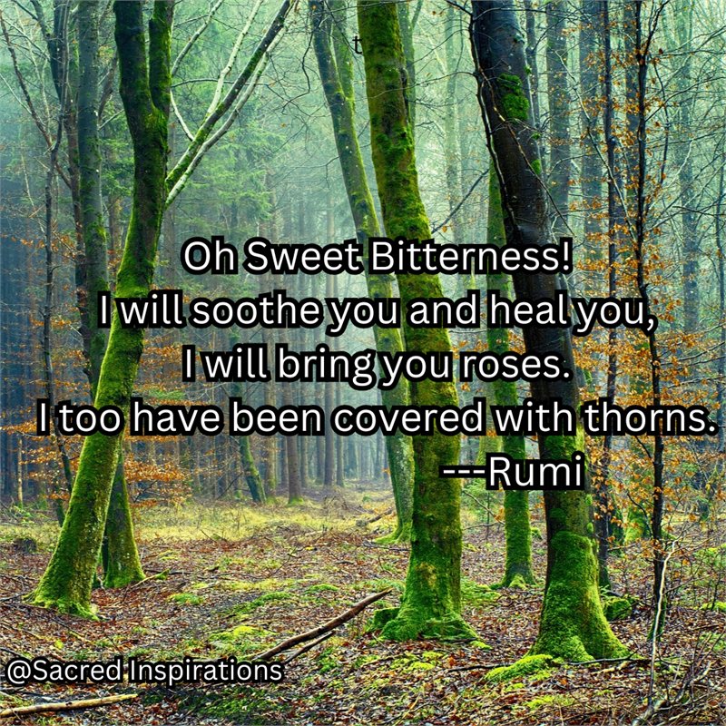 Oh Sweet Bitterness, I will soothe you and heal you, I will bring you roses; I too have been covered with thorns — Rumi