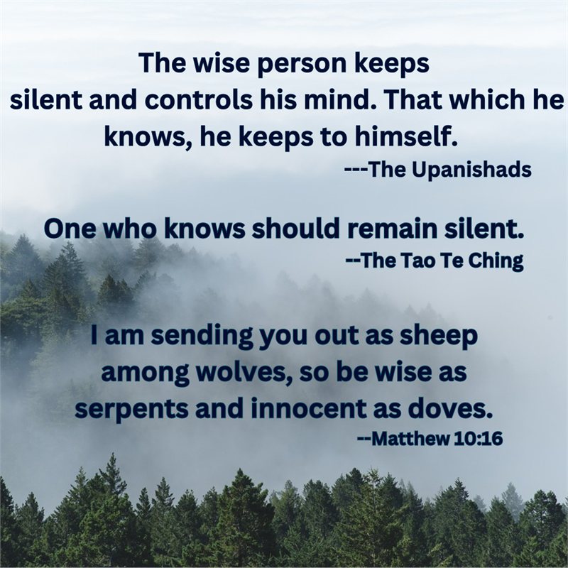 The wise person keeps silent and controls his mind; that which he knows, he keeps to himself — The Upanishads
